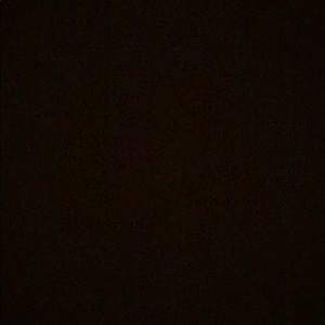 Meet your Posher, Isabella